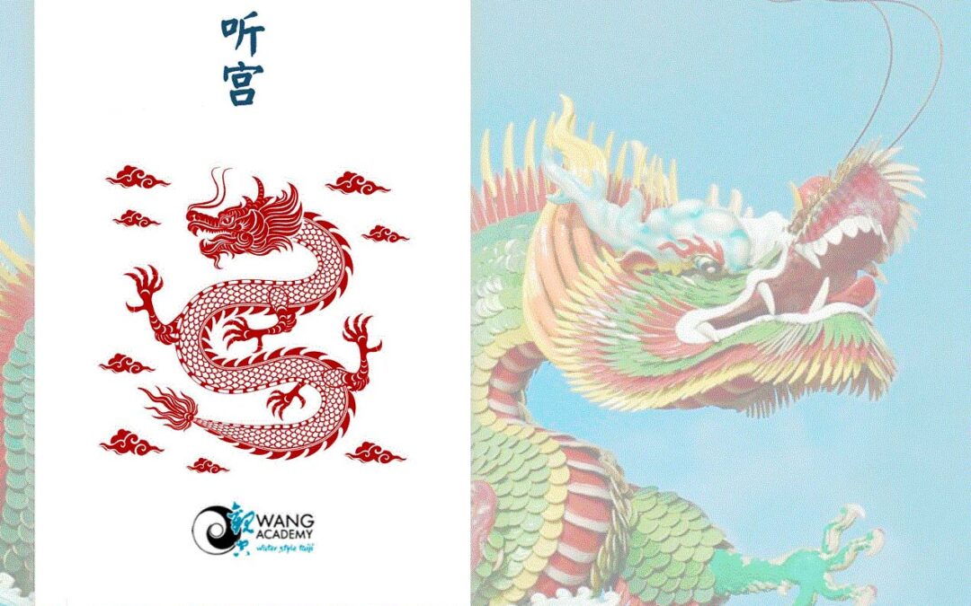 Quelques photos autour de Maitre Wang 2025 (par Thierry Limier)