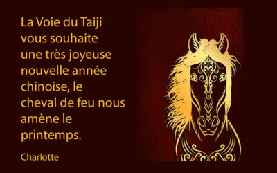 Bonne année chinoise