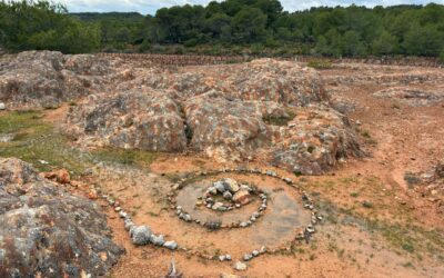 Quelques photos de la sortie nature du 14/03/26 : l&rsquo;étendoir des fées
